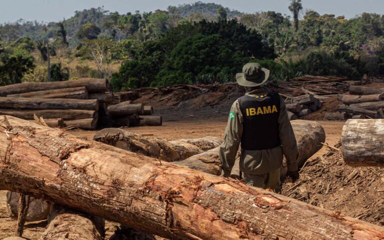 Ricardo Salles illegal logging