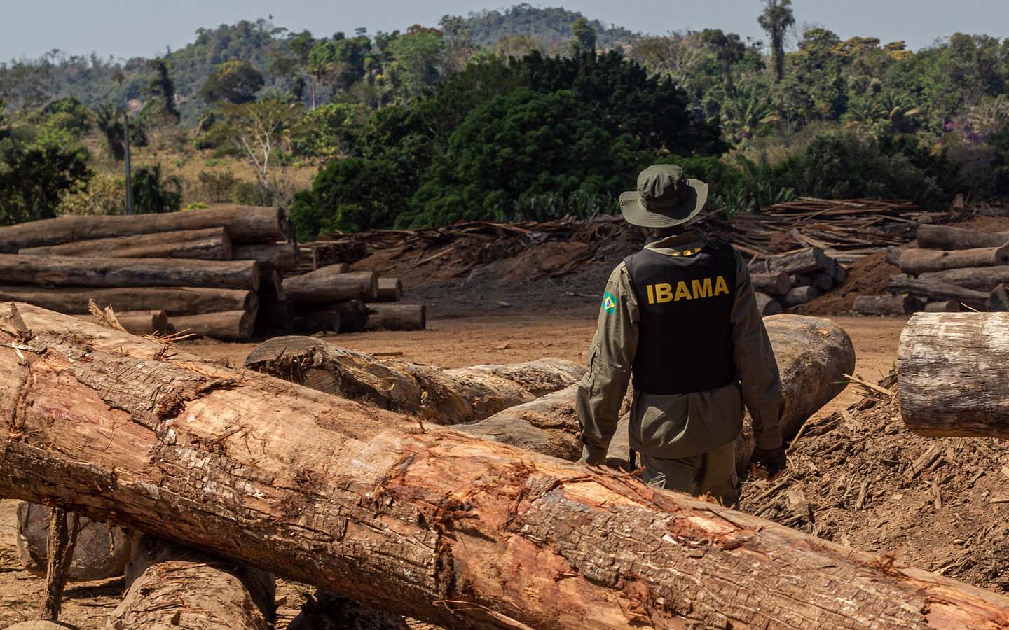 Ricardo Salles illegal logging